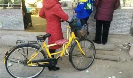 郑州自行车爆料事件视频,真相与争议交织的街头冲突